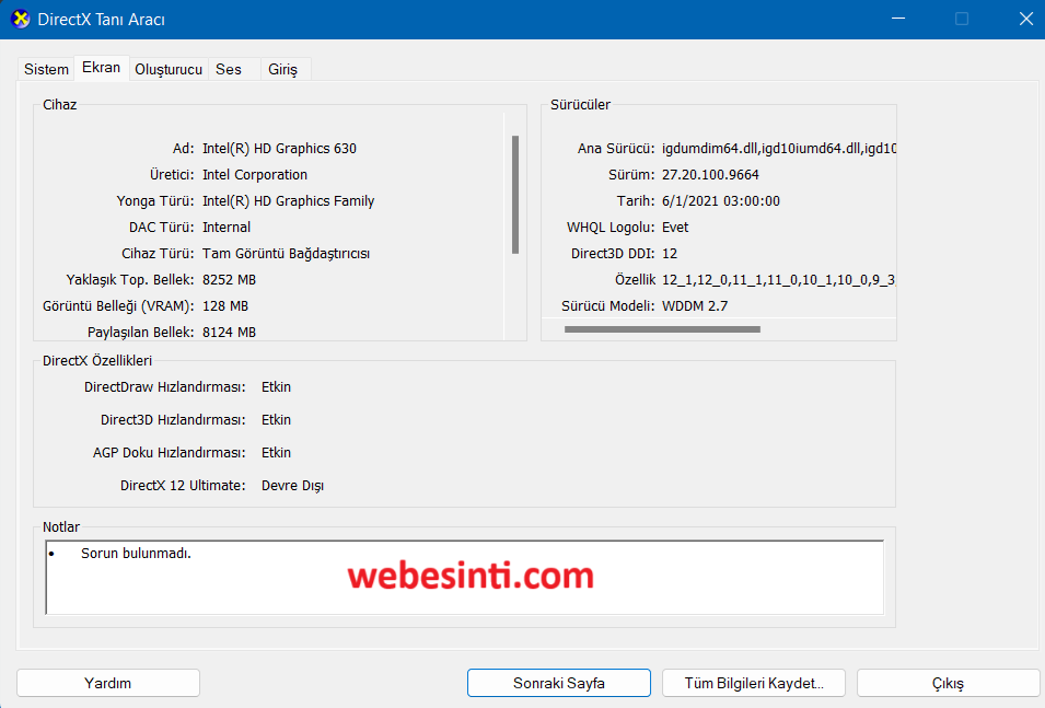 DirectX Tanı Aracı ile Ekran Kartı Özelliklerini Görüntüleme