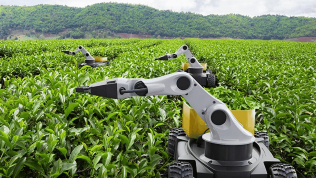 Çin, Tarımda Yapay Zeka Kullanımını Artırıyor