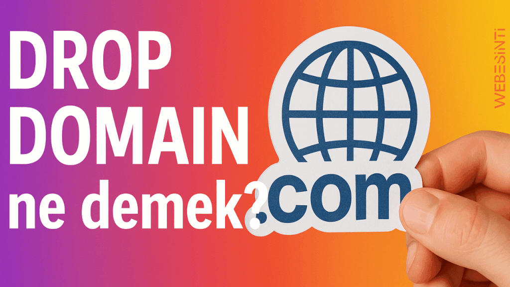 Drop Domain Nedir?