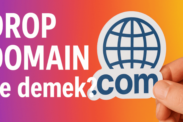 Drop Domain Nedir?