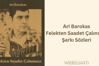 Ari Barokas - Felekten Saadet Çalınmaz Şarkı Sözleri: Duygulara Tercüman Olan Bir Anlatı