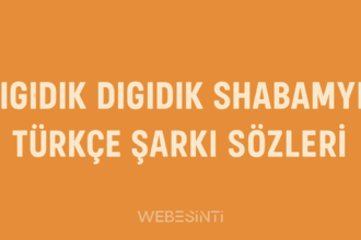 Digidik Digidik Shabamyn Türkçe Şarkı Sözleri Ne Anlatıyor? Anlamı, Kökeni ve Mizahi Yapısı