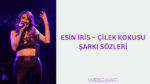Esin İris – Çilek Kokusu Şarkı Sözleri: Ruhunuza Dokunan Tatlı Bir Melodi