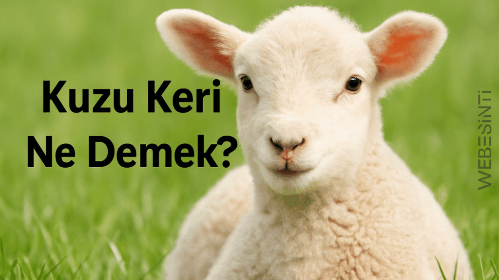 Kuzu Keri Ne Demek? Anlamı ve Kökeni Hakkında Merak Edilenler