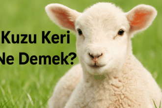 Kuzu Keri Ne Demek? Anlamı ve Kökeni Hakkında Merak Edilenler