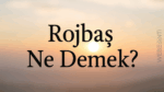 Rojbaş Ne Demek? Anlamı ve Kullanım Yerleri