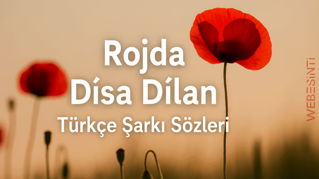 Rojda – Dîsa Dîlan Türkçe Şarkı Sözleri
