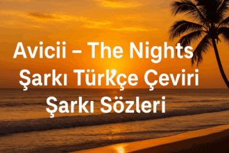 Avicii - The Nights Şarkı Türkçe Çeviri Şarkı Sözleri: Hayata Dair İlham Veren Bir Mesaj