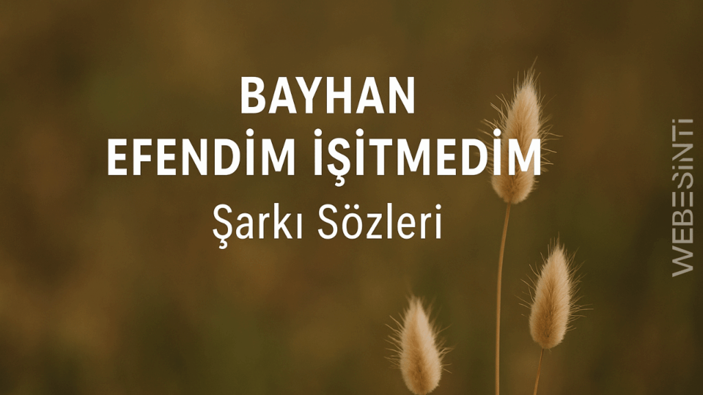 Bayhan – Efendim İşitmedim Şarkı Sözleri: Yeni Nesil Bir Duruşun Sesi