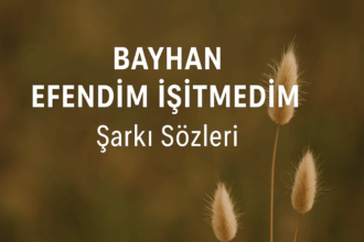 Bayhan – Efendim İşitmedim Şarkı Sözleri: Yeni Nesil Bir Duruşun Sesi