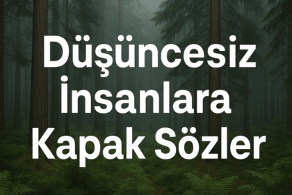 Düşüncesiz İnsanlara Kapak Sözler: Kendini Koru, Sözünle Yanıt Ver