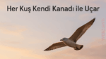 Her Kuş Kendi Kanadı ile Uçar Atasözünün Anlamı ve Hayatımıza Yansımaları