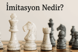 İmitasyon Nedir?