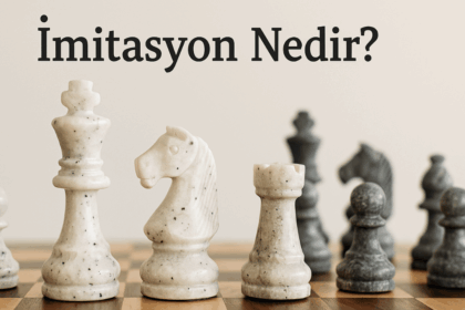 İmitasyon Nedir?
