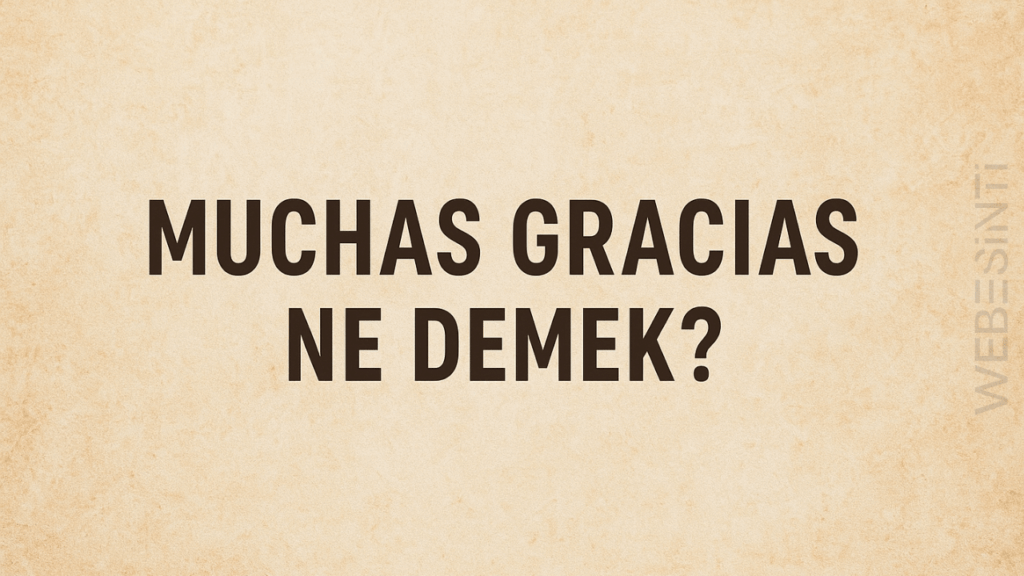 Muchas Gracias Ne Demek?