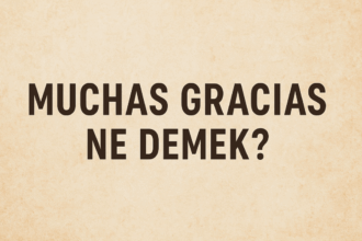 Muchas Gracias Ne Demek?