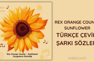Rex Orange County – Sunflower Türkçe Çeviri Şarkı Sözleri: Duygulara Dokunan Bir Başyapıt