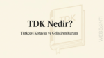 TDK Ne Demek?