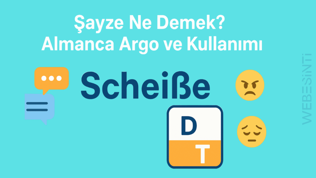 Şayze Ne Demek Türkçe Anlamı?