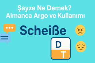 Şayze Ne Demek Türkçe Anlamı?