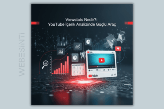 Viewstats Nedir?