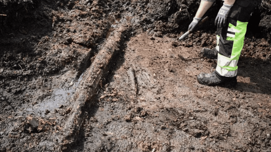 İsveç’te 5000 Yıllık Zaman Kapsülü Bataklıkta Bulundu