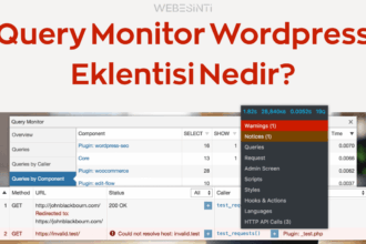 Query Monitor Wordpress Eklentisi Nedir?