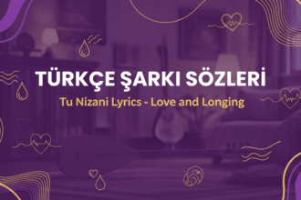 Xecê – Tu Nizanî Türkçe Şarkı Sözleri ve Anlamı