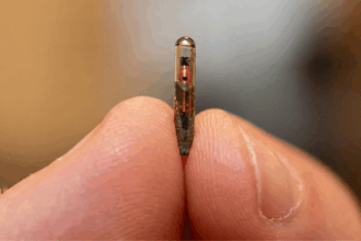 Deri Altına Yerleştirdiği RFID Çipin Şifresini Unutan Amerikalı Gösteri Sanatçısı Zor Anlar Yaşadı