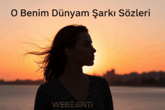 Ajda Pekkan - O Benim Dünyam Sözleri ve Şarkının Anlamı