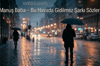 Manuş Baba – Bu Havada Gidilmez Şarkı Sözleri Dinleyenleri Etkiliyor