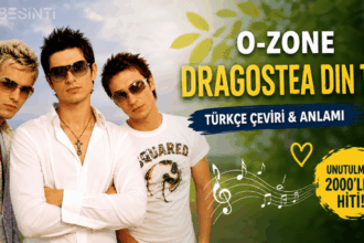 O-Zone - Dragostea din tei - Türkçe Çeviri Şarkı Sözleri