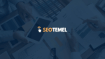 SEO Ajansı Seçerken Nelere Dikkat Etmelisiniz?