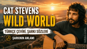 Cat Stevens – Wild World Türkçe Çeviri, Şarkı Sözleri ve Anlamı