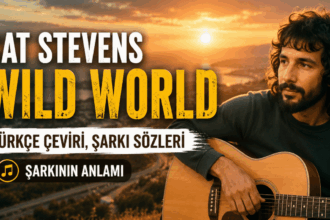 Cat Stevens – Wild World Türkçe Çeviri, Şarkı Sözleri ve Anlamı