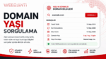 Webesinti Domain Yaşı Sorgulama Aracı arayüzü ile alan adının tescil tarihi, bitiş tarihi, kayıt kuruluşu ve domain yaşı sorgulama ekranı.