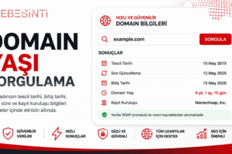 Webesinti Domain Yaşı Sorgulama Aracı arayüzü ile alan adının tescil tarihi, bitiş tarihi, kayıt kuruluşu ve domain yaşı sorgulama ekranı.