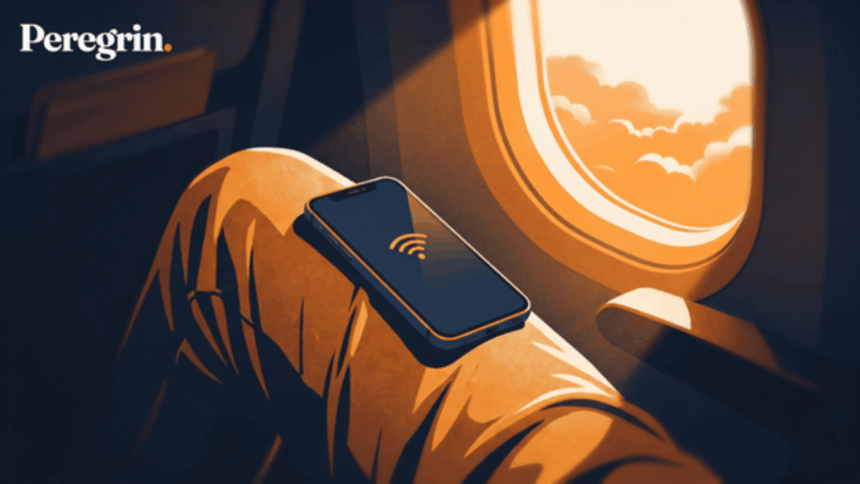 Peregrinapp İle Yurt Dışında İnternet: Roaming Faturası mı, eSIM mi?